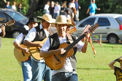 Viola Caipira