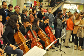 Orquestra de violoncelos